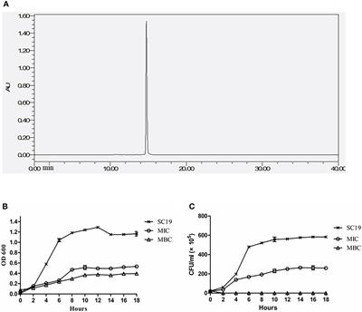 Metabolomics and proteomics analyses revealed mechanistic insights on the antimicrobial activity of epigallocatechin gallate against Streptococcus suis